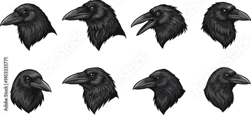Raven bird head illustrations with different beak positions and feather details in black and white style vector 