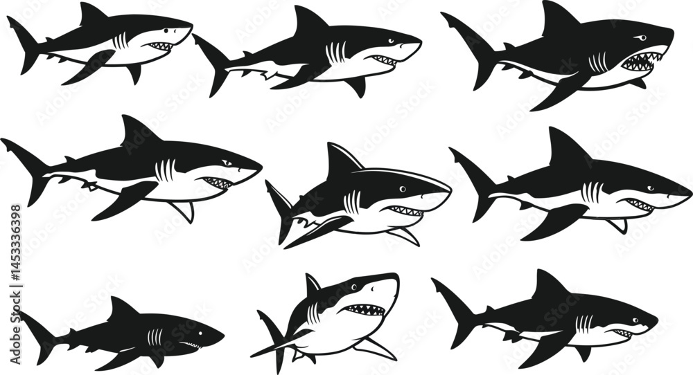 Fototapeta premium Great white shark vector set with various poses and angles in black and white design for ocean and wildlife themes 