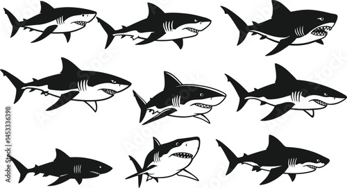 Great white shark vector set with various poses and angles in black and white design for ocean and wildlife themes 