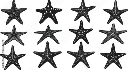 Starfish marine animals vector illustration in black and white arrangement of ten sea stars on white background 