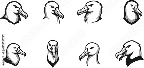 Two albatross bird heads facing opposite directions detailed vector illustration for wildlife design and nature themes 
