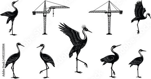 White stork bird vector collection in various flying and standing poses for wildlife and nature illustration designs 