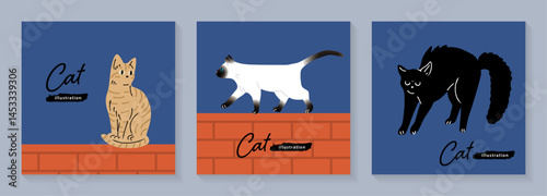 猫のイラストセット