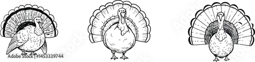 Turkey bird head set with detailed black and white vector illustrations of different angles and expressions for wildlife design projects 