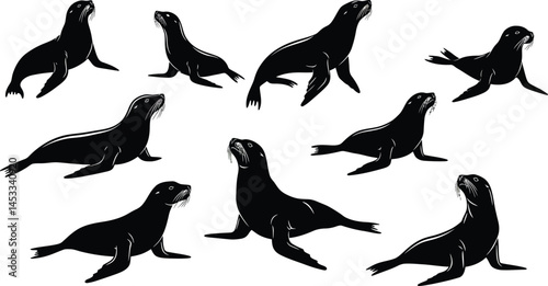 Sea lion silhouette poses collection showing different body postures and movements vector illustration 