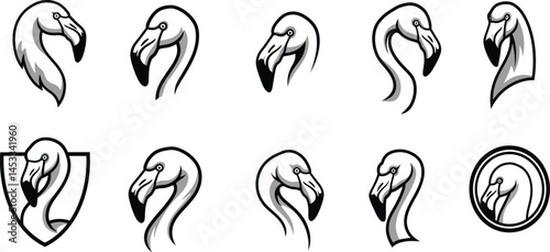 Pelican bird head illustrations with various stylized poses and frames for wildlife design and nature themes vector set 