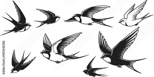 Swallows in flight set with detailed feathers and red face markings flying in various dynamic poses vector illustration 