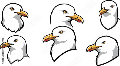 Seagull bird head profile set with various angles in black and white vector illustration 