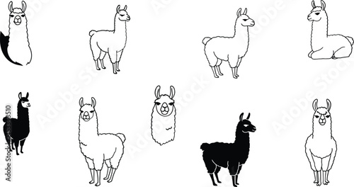 Llama silhouette and outline vector collection in black and white for animal illustration design elements 