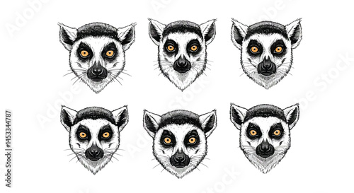 Baboon faces vector set with realistic colorful details and expressive features for wildlife and animal illustration design 