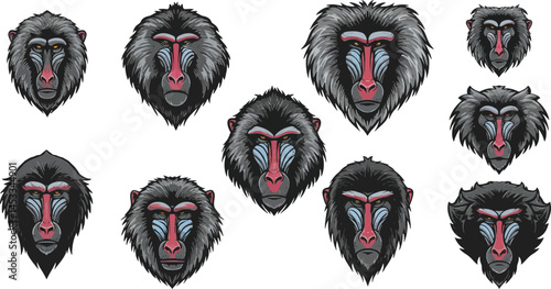 Baboon face illustrations showing various facial expressions in black and red color vector collection for wildlife design 