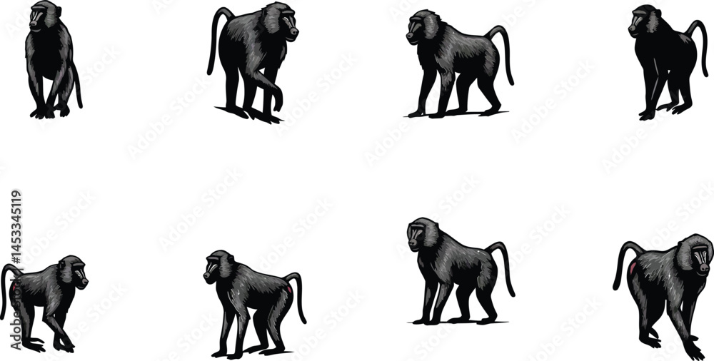 Obraz premium Baboon vector illustrations showing different poses and angles of baboons in natural standing and sitting positions 