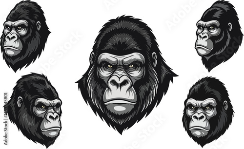 Gorilla head vector set with black and white face variations for wildlife and animal design projects 
