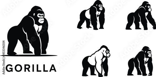 Chimpanzee Sitting and Crawling Various Poses Vector Illustration for Animal Behavior Study 