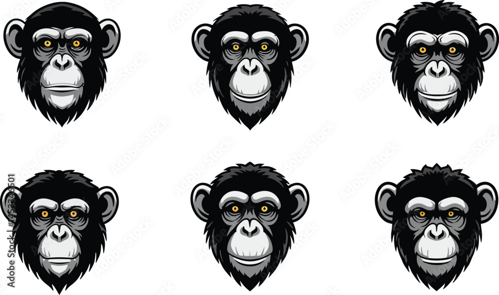 Fototapeta premium Chimpanzee head detailed vector illustrations showing different facial expressions natural style