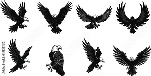 Bald eagle flying with wide wingspan in various aggressive attack poses vector illustration 