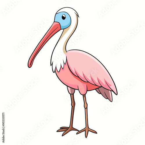stork on white background
