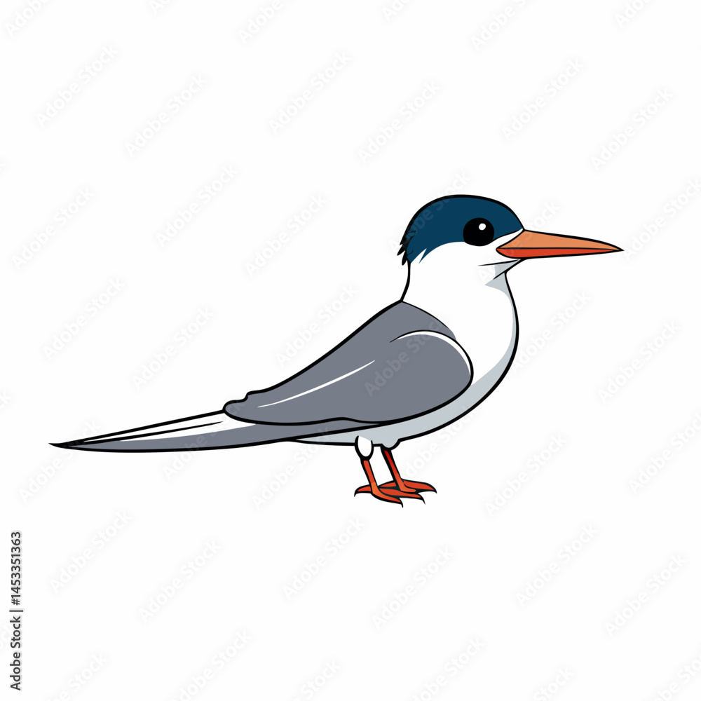 Obraz premium black and white bird