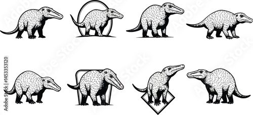 Anteater animal vector illustrations showing various poses and walking actions in black and white style 