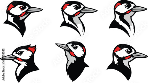 Woodpecker bird head close-up illustrations with red and black feathers in multiple poses vector set 