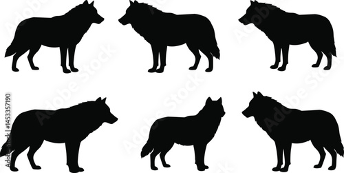 Wolf silhouette vector set showing six different standing wolf poses in black shapes for design use
