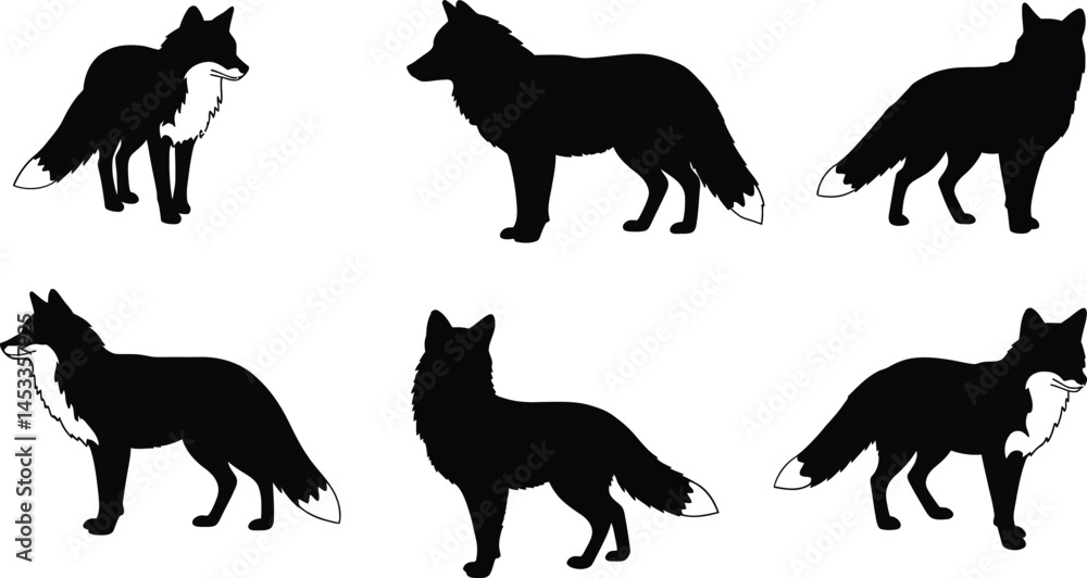Fototapeta premium Silhouettes of Foxes in Various Poses Black Vector Illustration for Wildlife and Nature Design Elements 