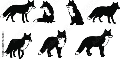 Fox silhouette set with various poses black and white vector illustration animal wildlife design collection 