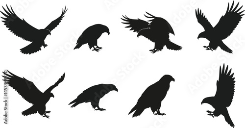 Eagle silhouette set in black flying and perched poses for wildlife nature design elements vector 
