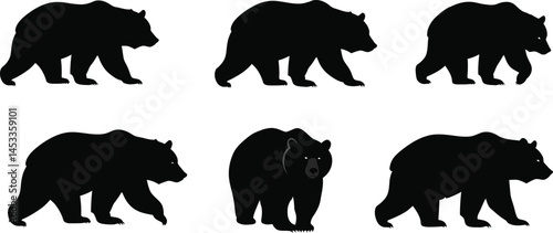 Bear silhouettes in various poses set with solid black shapes for natural wildlife design elements vector illustration 