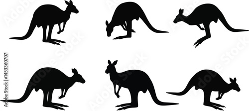 Kangaroo Silhouettes Vector Set Showing Different Poses and Movements in Black Style 