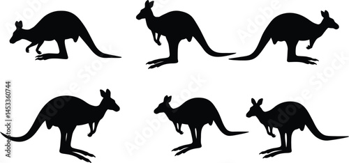 Kangaroo silhouette vector set with six different jumping and standing poses in black illustration 