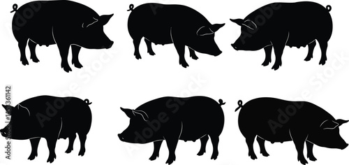 Silhouettes of Six Black Pigs in Various Poses Farm Animal Vector Illustration 
