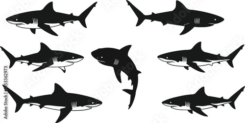 Great white shark silhouette set with multiple views for marine animal vector illustration design 