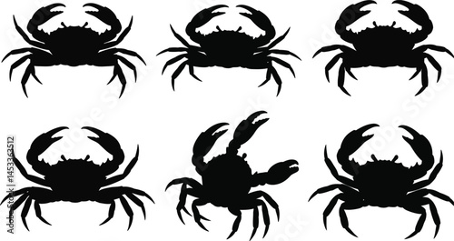 Crab silhouette vector set with various claw and walking poses in black design illustration for sea life graphics 
