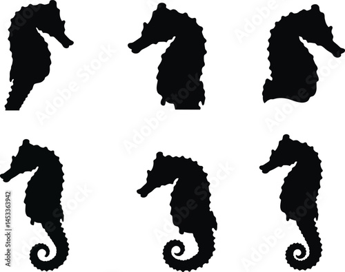 Seahorse silhouette vector set with six black sea horse outlines in various poses for marine life illustration and design purposes 