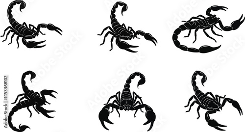 Scorpion silhouette vector illustration showing six black scorpions in different poses and angles 