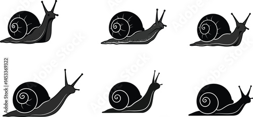 Snail vector illustration set showing six black snails in various side views and positions on white background 