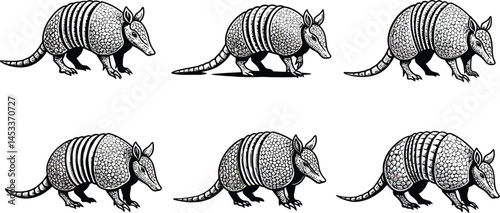 Armadillo Vector Illustration Set Showing Six Different Poses of Armadillos in Black and White Style 