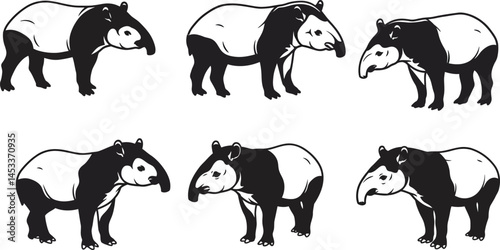 Malayan tapir black and white animals in various poses vector set natural wildlife illustrations 