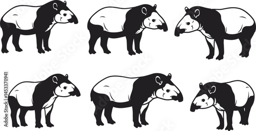 Malayan tapir vector illustration showing six different poses of black and white wildlife animal 
