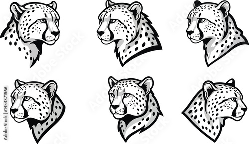 Cheetah head illustrations set with detailed spots natural wild animal portraits vector artwork 