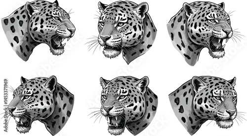 Leopard head vector illustrations showing different facial expressions and angles in black and white design 