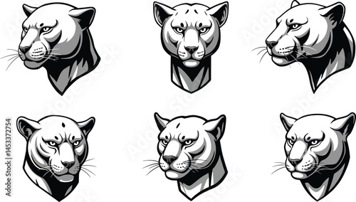 Panther head vector illustrations showing various facial angles and expressions in black and white detailed style 