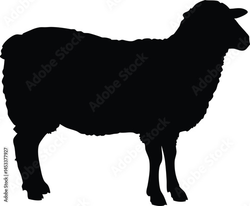 Sheep silhouette, Lamb standing silhouette, Sheep black icon vector