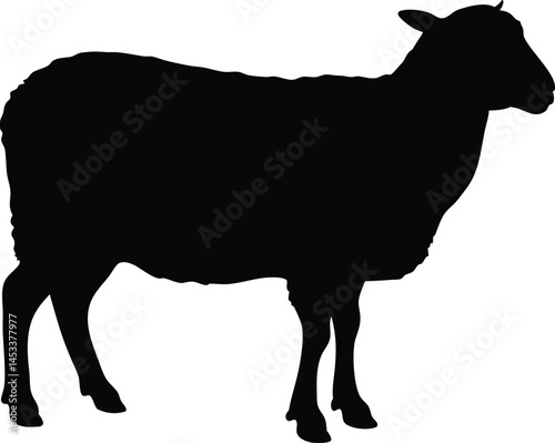 Sheep silhouette, Lamb standing silhouette, Sheep black icon vector
