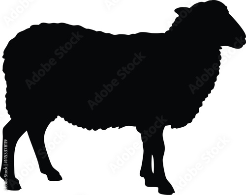 Sheep silhouette, Lamb standing silhouette, Sheep black icon vector