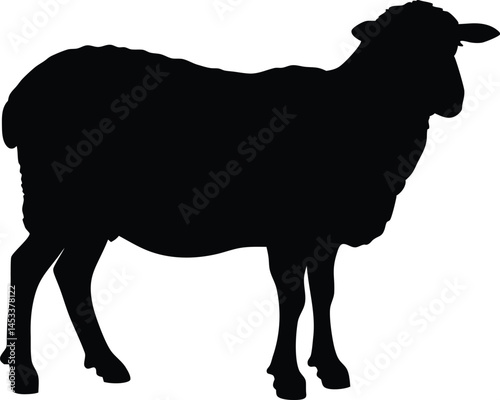 Sheep silhouette, Lamb standing silhouette, Sheep black icon vector