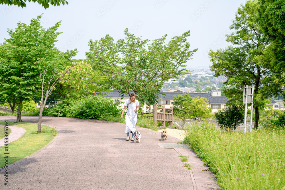 On a summer morning in a park with blooming hydrangeas, a Japanese woman in her 30s walks two French Bulldogs. Surrounded by flowers and trees, they stroll along quiet paths under soft morning light.