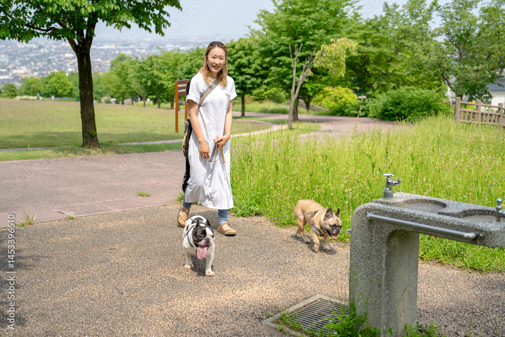On a summer morning in a park with blooming hydrangeas, a Japanese woman in her 30s walks two French Bulldogs. Surrounded by flowers and trees, they stroll along quiet paths under soft morning light.