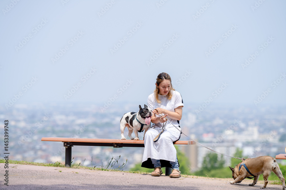 On a summer morning in a park with blooming hydrangeas, a Japanese woman in her 30s walks two French Bulldogs. They sit on a hilltop bench, overlooking the city, with flowers and greenery all around.